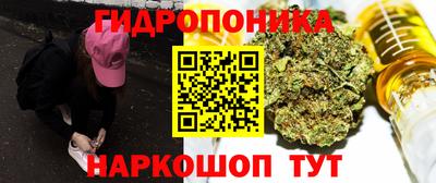 дурь Берёзовский