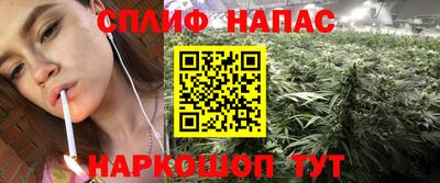 дурь Берёзовский